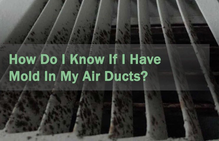 Mold Do I Know If I Have Mold in My Air Ducts