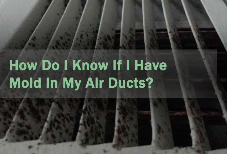 Mold Do I Know If I Have Mold in My Air Ducts