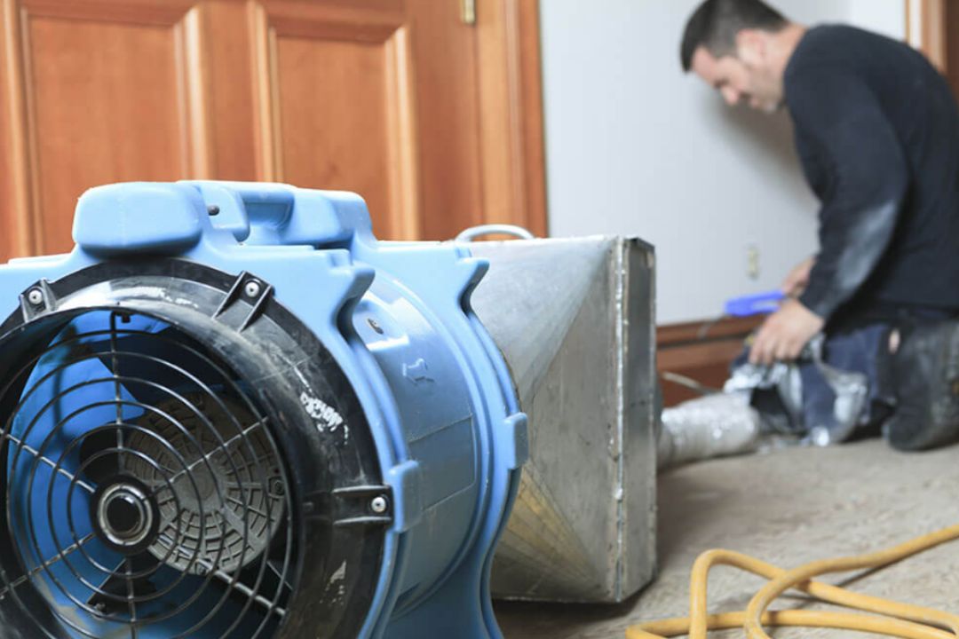 Your Guide to Air Duct & Dryer Vent Cleaning in Baltimore, MD